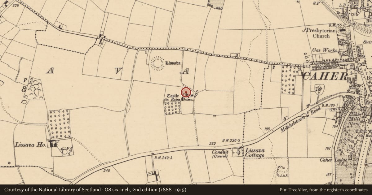 Ordnance Survey six-inch map, 2nd edition (1888–1915) covering the location of Castle - unclassified, Lissava, County Tipperary South, with a pin at the register's coordinates