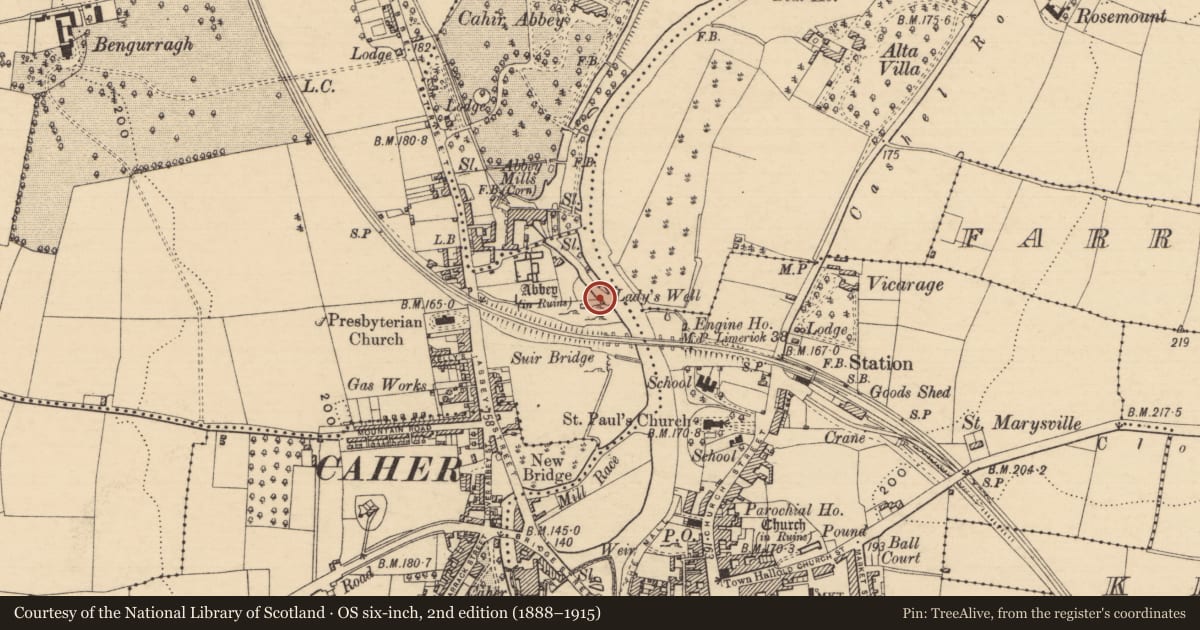 Ordnance Survey six-inch map, 2nd edition (1888–1915) covering the location of Ritual site - holy well, Caherabbey Upper, County Tipperary South, with a pin at the register's coordinates