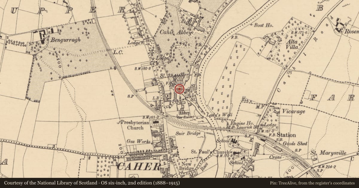 Ordnance Survey six-inch map, 2nd edition (1888–1915) covering the location of Mill - unclassified, Caherabbey Lower, County Tipperary South, with a pin at the register's coordinates