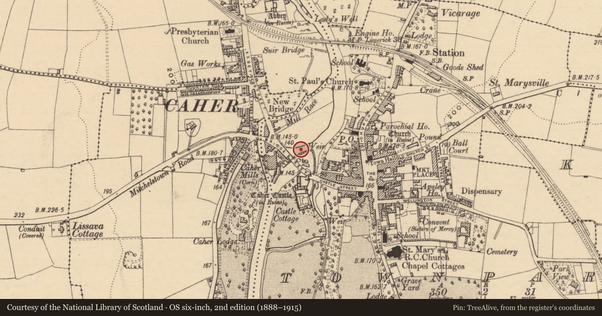 Ordnance Survey six-inch map, 2nd edition (1888–1915) covering the location of Weir - fish, Townparks (Caher Par.), County Tipperary South, with a pin at the register's coordinates