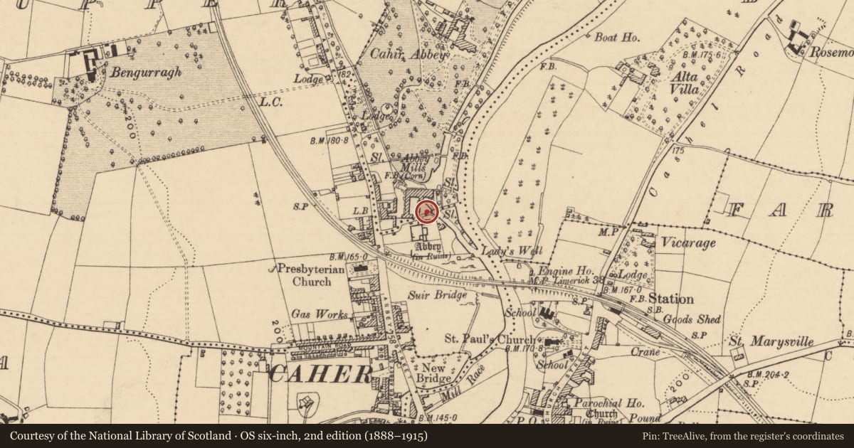 Ordnance Survey six-inch map, 2nd edition (1888–1915) covering the location of Bullaun stone, Caherabbey Upper, County Tipperary South, with a pin at the register's coordinates