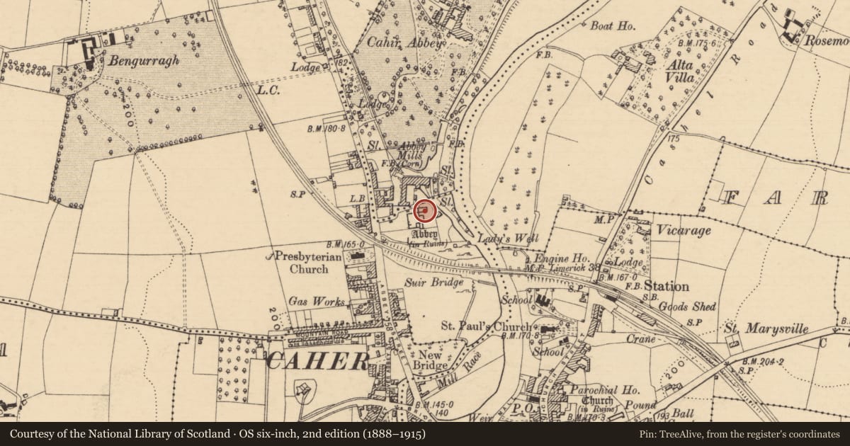 Ordnance Survey six-inch map, 2nd edition (1888–1915) covering the location of Graveyard, Caherabbey Upper, County Tipperary South, with a pin at the register's coordinates