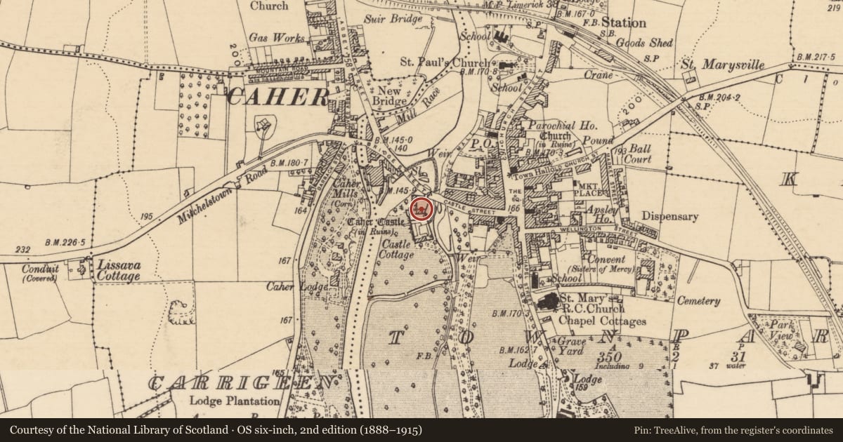 Ordnance Survey six-inch map, 2nd edition (1888–1915) covering the location of Stone sculpture, Townparks (Caher Par.), County Tipperary South, with a pin at the register's coordinates