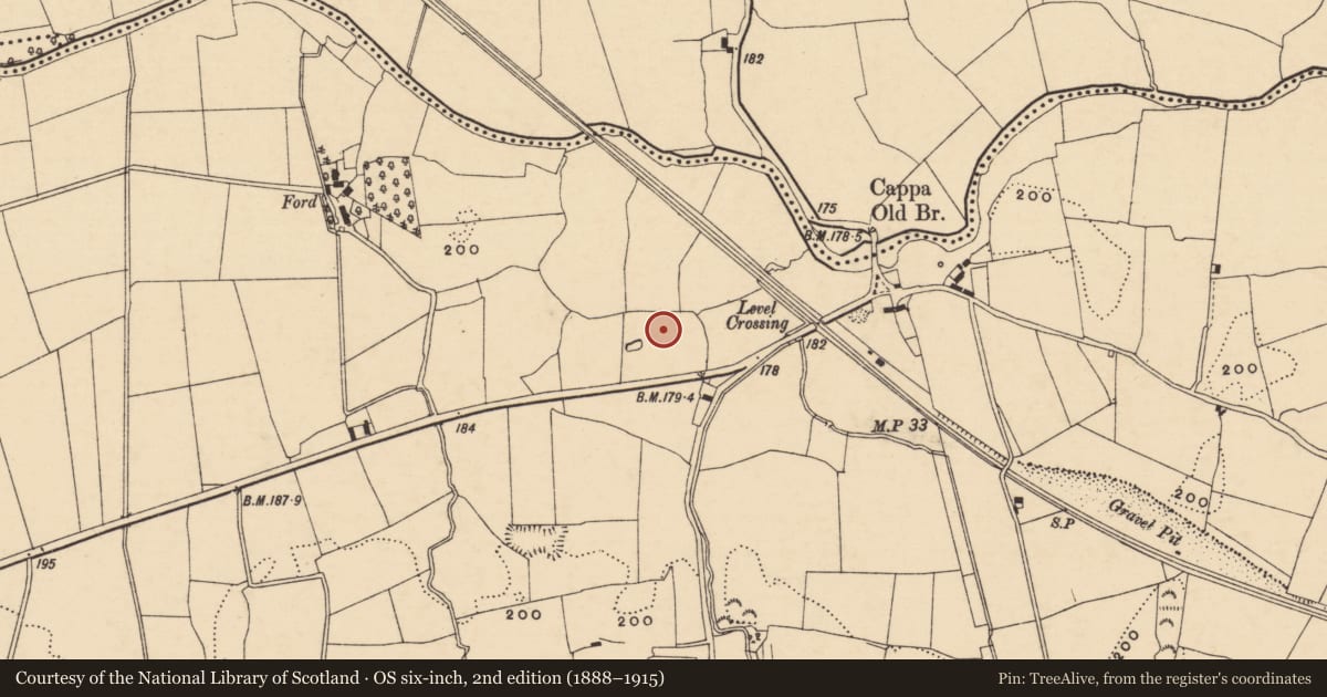 Ordnance Survey six-inch map, 2nd edition (1888–1915) covering the location of Enclosure, Cappauniac (Clonbullogue Par.), County Tipperary South, with a pin at the register's coordinates