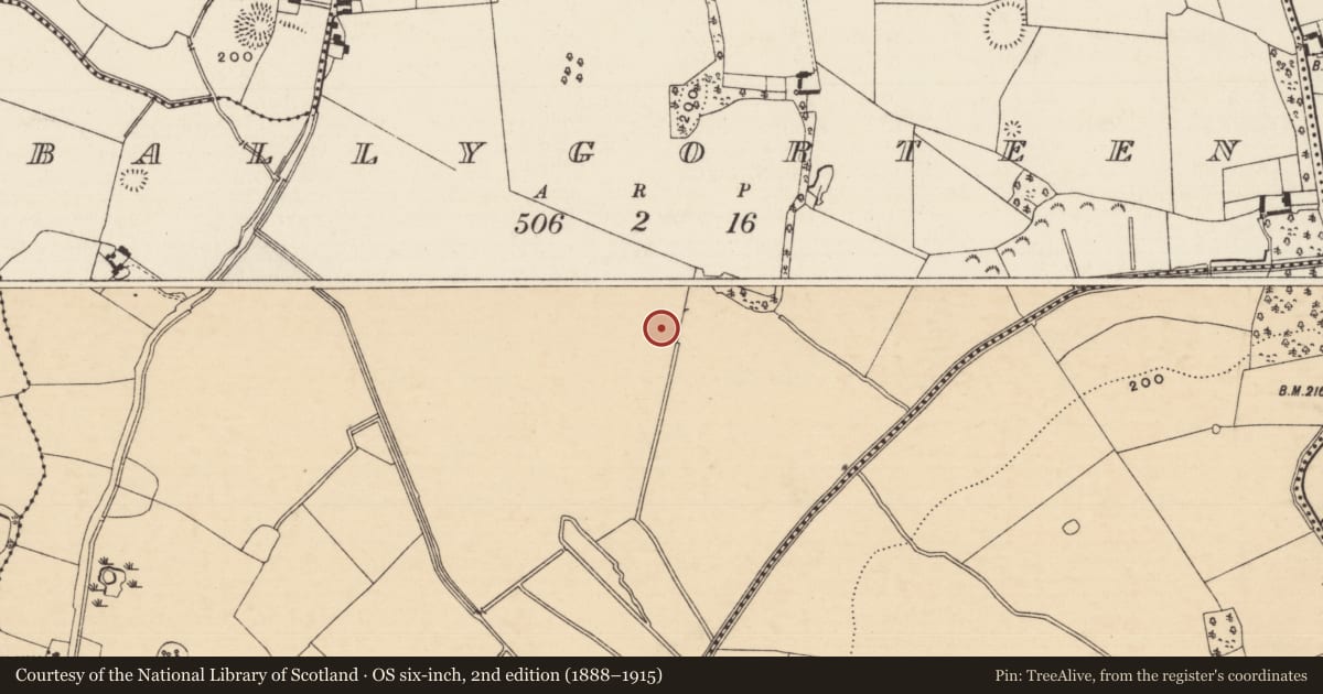 Ordnance Survey six-inch map, 2nd edition (1888–1915) covering the location of Enclosure, Ballygorteen (Clonbullogue Par.), County Tipperary South, with a pin at the register's coordinates