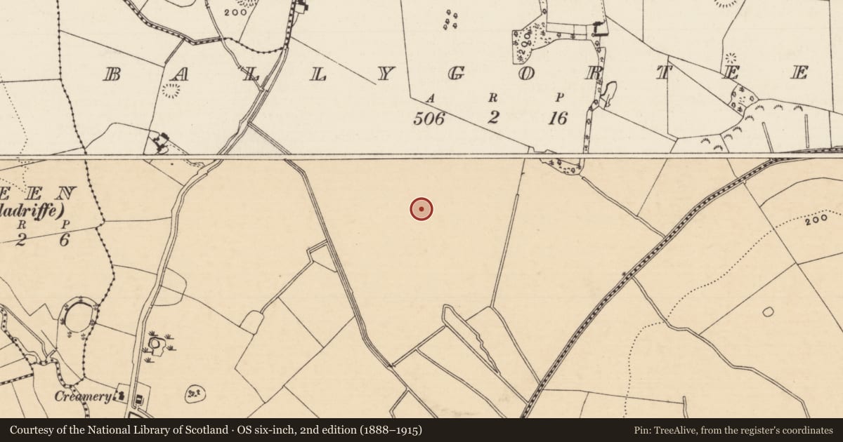 Ordnance Survey six-inch map, 2nd edition (1888–1915) covering the location of Field system, Ballygorteen (Clonbullogue Par.), County Tipperary South, with a pin at the register's coordinates
