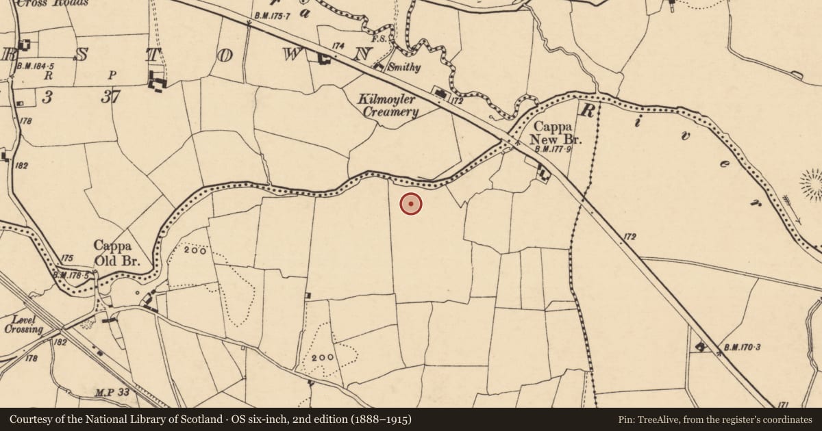Ordnance Survey six-inch map, 2nd edition (1888–1915) covering the location of Enclosure, Cappauniac (Killardry Par.), County Tipperary South, with a pin at the register's coordinates