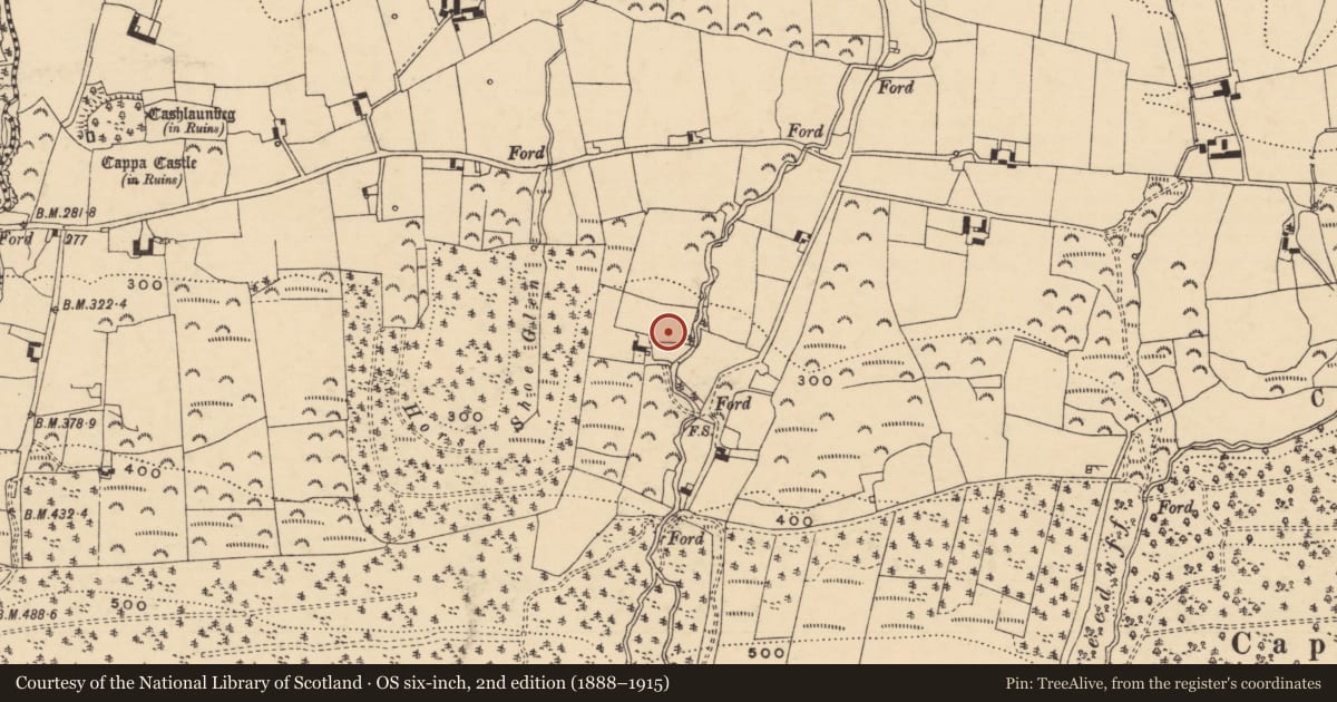 Ordnance Survey six-inch map, 2nd edition (1888–1915) covering the location of Enclosure, Cappauniac (Clonbullogue Par.), County Tipperary South, with a pin at the register's coordinates