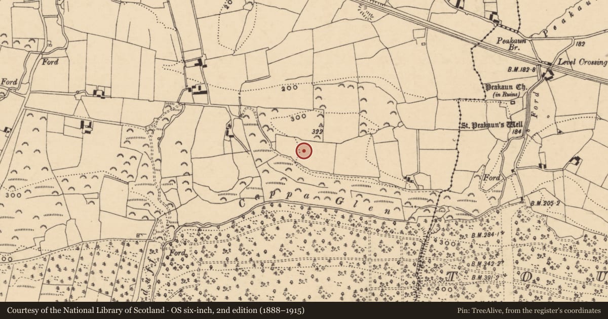 Ordnance Survey six-inch map, 2nd edition (1888–1915) covering the location of Enclosure, Cappauniac (Killardry Par.), County Tipperary South, with a pin at the register's coordinates