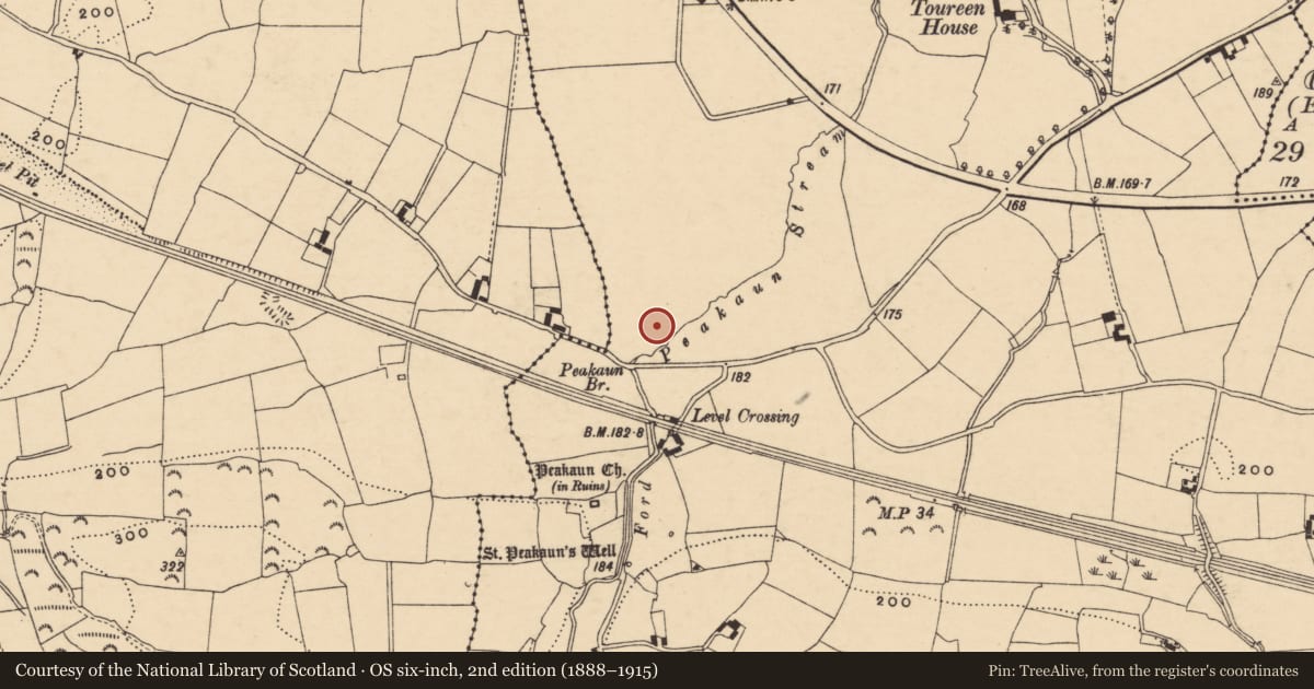 Ordnance Survey six-inch map, 2nd edition (1888–1915) covering the location of Enclosure, Toureen, County Tipperary South, with a pin at the register's coordinates