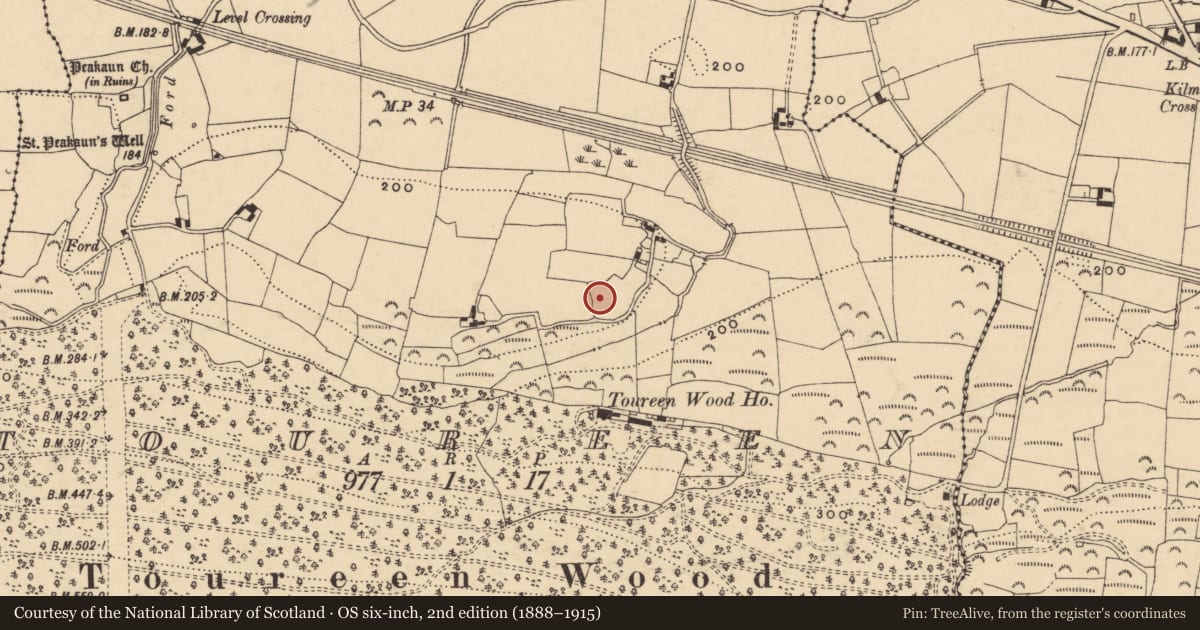 Ordnance Survey six-inch map, 2nd edition (1888–1915) covering the location of Enclosure, Toureen, County Tipperary South, with a pin at the register's coordinates