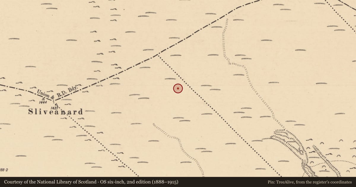 Ordnance Survey six-inch map, 2nd edition (1888–1915) covering the location of Structure, Clonmore North (Caher Par.), County Tipperary South, with a pin at the register's coordinates