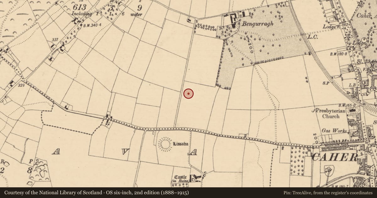 Ordnance Survey six-inch map, 2nd edition (1888–1915) covering the location of Enclosure, Caherabbey Upper, County Tipperary South, with a pin at the register's coordinates