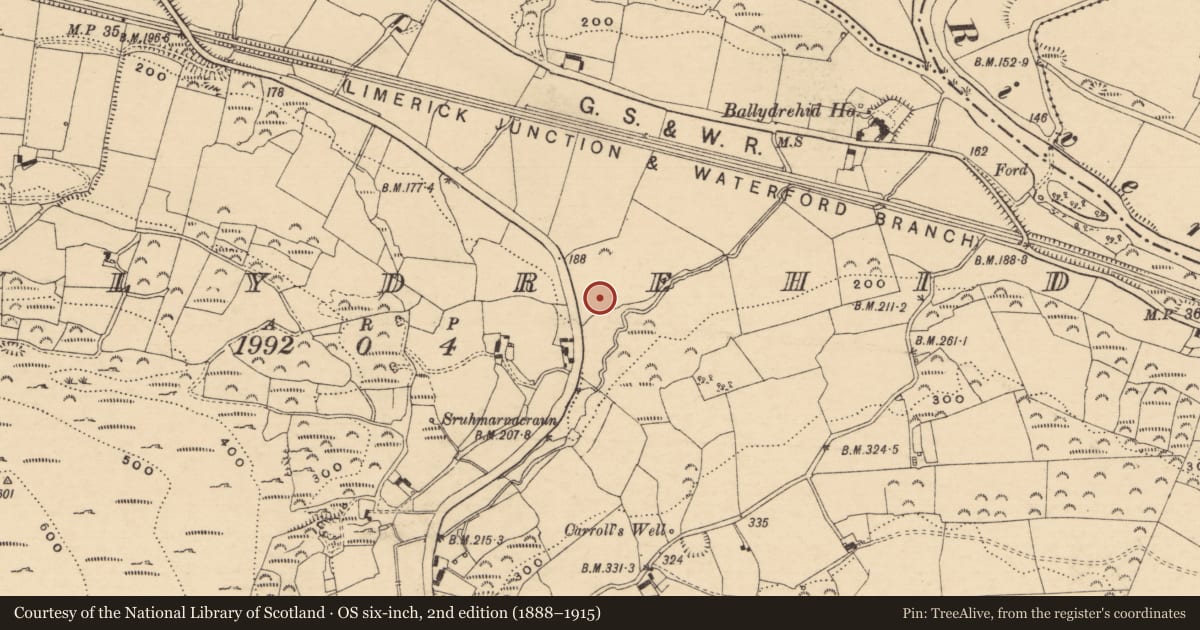 Ordnance Survey six-inch map, 2nd edition (1888–1915) covering the location of Enclosure, Ballydrehid, County Tipperary South, with a pin at the register's coordinates
