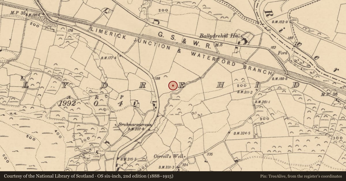 Ordnance Survey six-inch map, 2nd edition (1888–1915) covering the location of Enclosure, Ballydrehid, County Tipperary South, with a pin at the register's coordinates