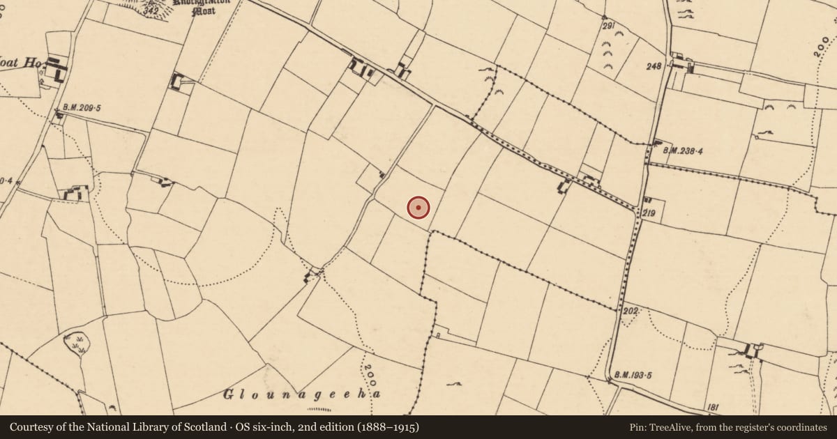 Ordnance Survey six-inch map, 2nd edition (1888–1915) covering the location of Enclosure, Knockgraffon, County Tipperary South, with a pin at the register's coordinates