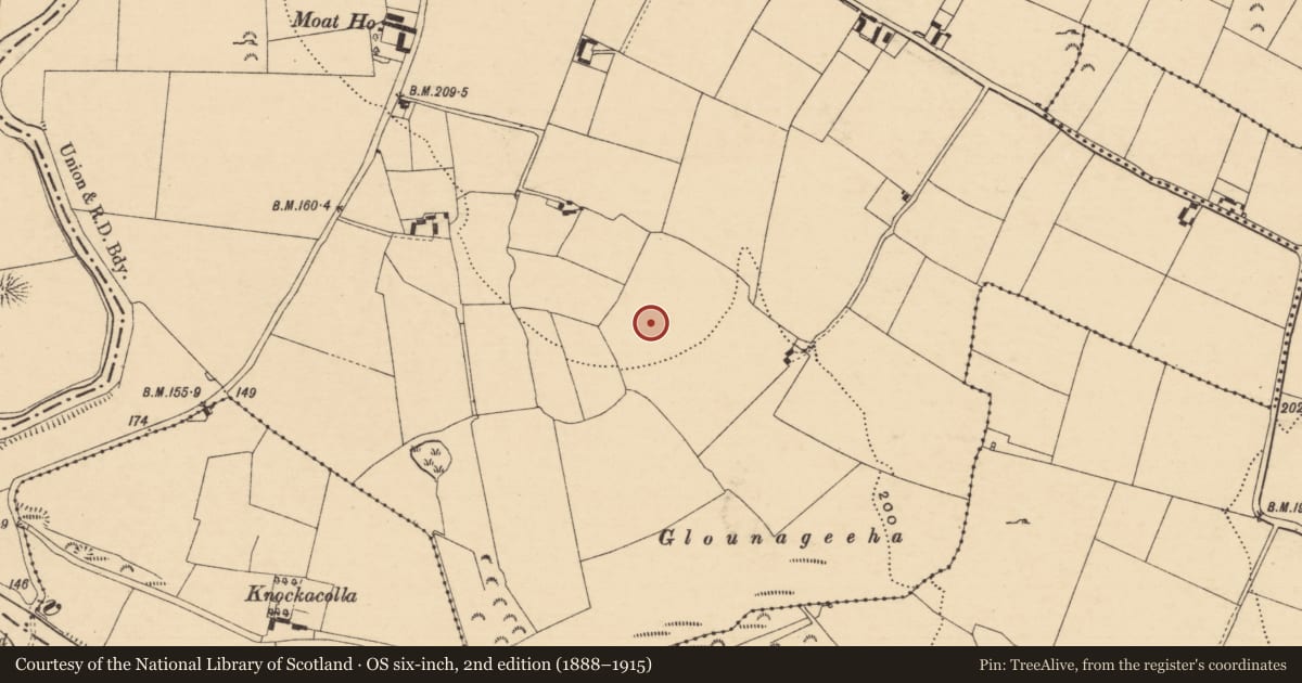 Ordnance Survey six-inch map, 2nd edition (1888–1915) covering the location of Enclosure, Knockgraffon, County Tipperary South, with a pin at the register's coordinates