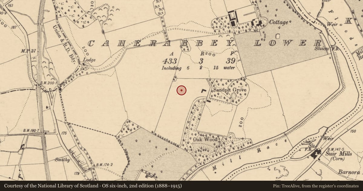 Ordnance Survey six-inch map, 2nd edition (1888–1915) covering the location of Moated site, Caherabbey Lower, County Tipperary South, with a pin at the register's coordinates
