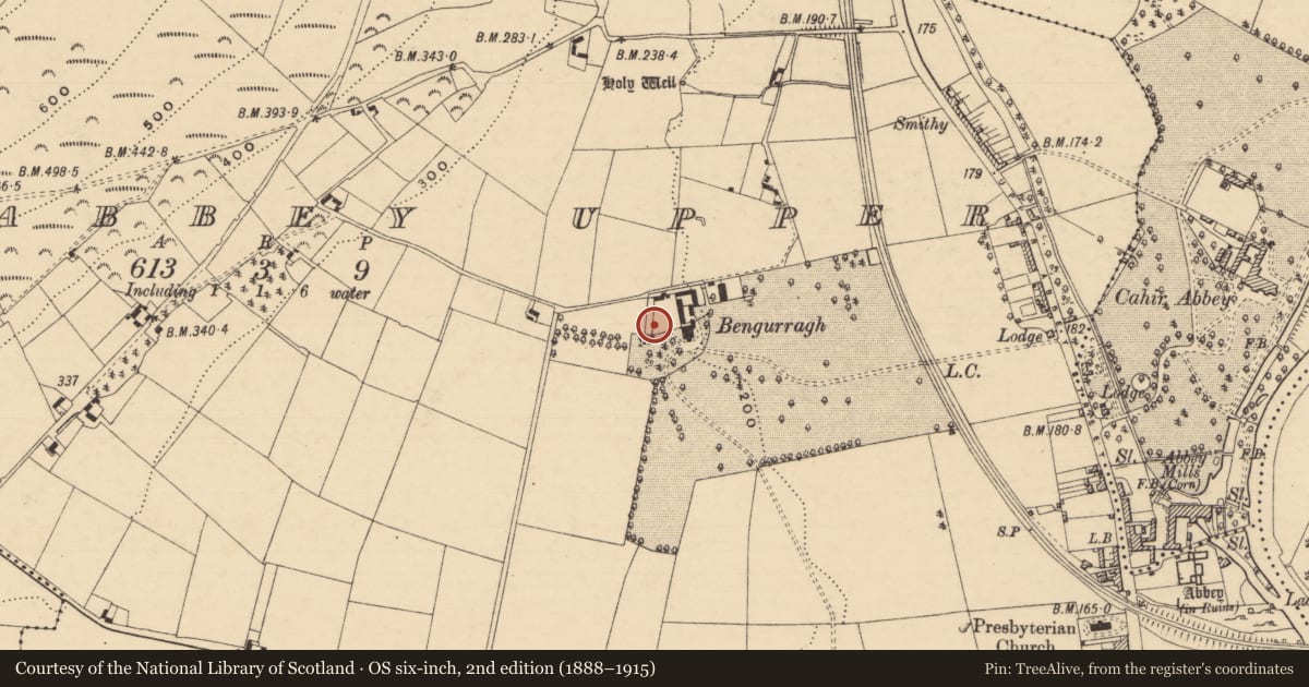 Ordnance Survey six-inch map, 2nd edition (1888–1915) covering the location of Headstone, Caherabbey Upper, County Tipperary South, with a pin at the register's coordinates