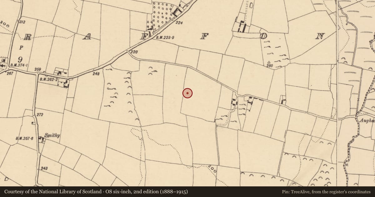 Ordnance Survey six-inch map, 2nd edition (1888–1915) covering the location of Enclosure - large enclosure, Knockgraffon, County Tipperary South, with a pin at the register's coordinates