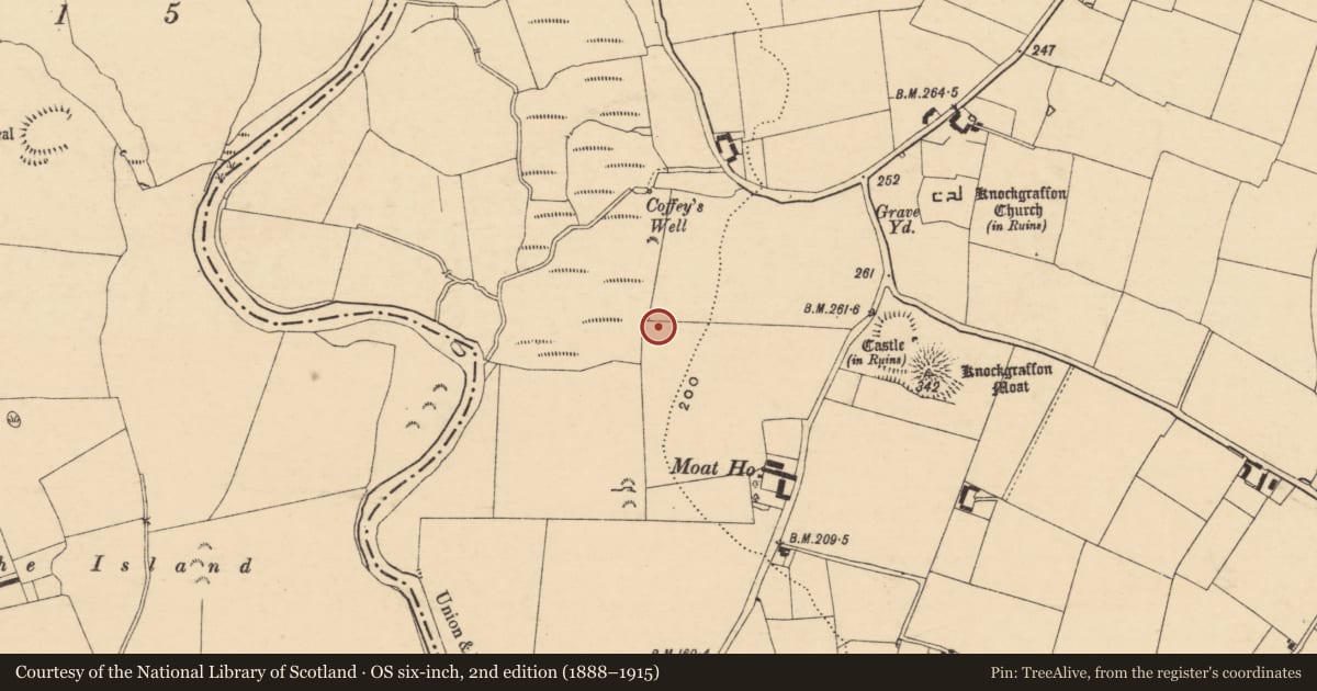 Ordnance Survey six-inch map, 2nd edition (1888–1915) covering the location of Enclosure, Knockgraffon, County Tipperary South, with a pin at the register's coordinates