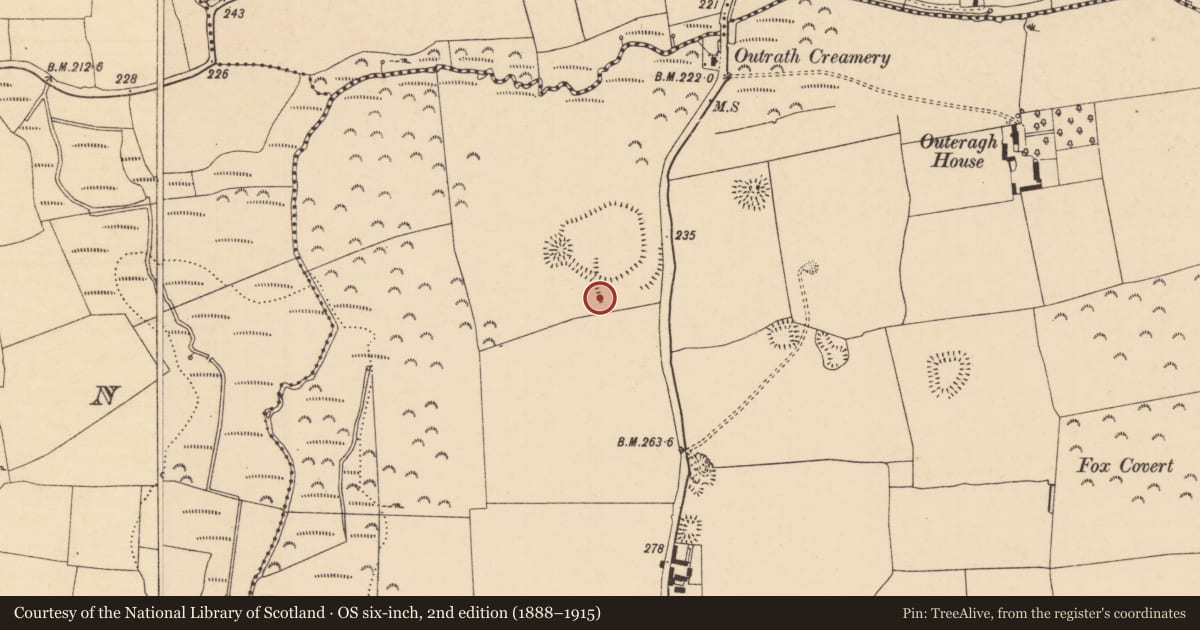 Ordnance Survey six-inch map, 2nd edition (1888–1915) covering the location of Field boundary, Outeragh, County Tipperary South, with a pin at the register's coordinates