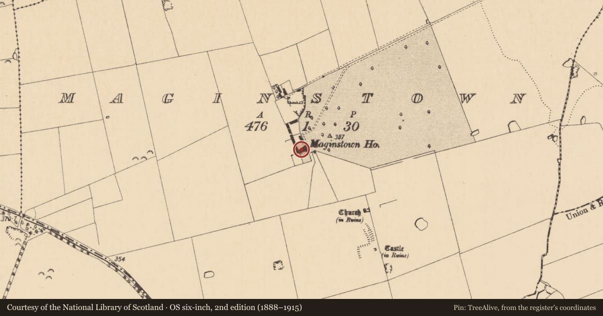 Ordnance Survey six-inch map, 2nd edition (1888–1915) covering the location of House - 17th century, Maginstown, County Tipperary South, with a pin at the register's coordinates