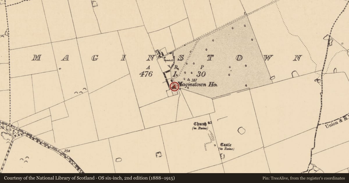 Ordnance Survey six-inch map, 2nd edition (1888–1915) covering the location of Windmill, Maginstown, County Tipperary South, with a pin at the register's coordinates