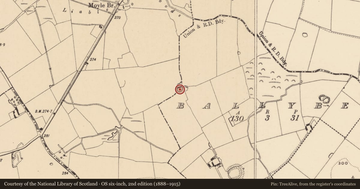 Ordnance Survey six-inch map, 2nd edition (1888–1915) covering the location of Ringfort - rath, Ballybeg (Newchapel Par.), County Tipperary South, with a pin at the register's coordinates
