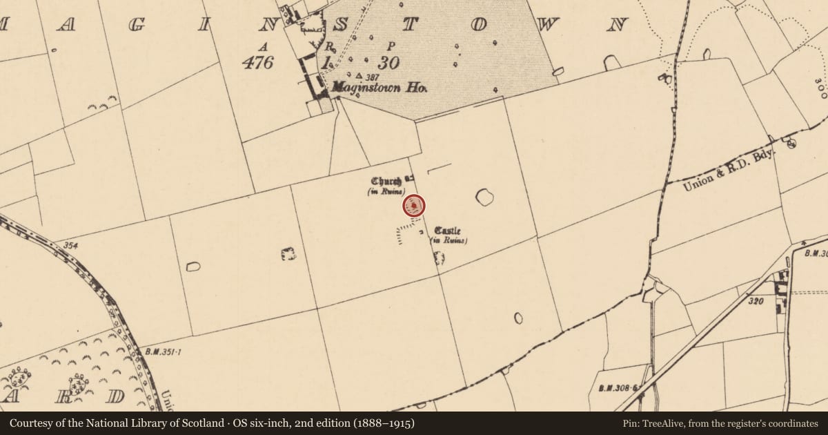 Ordnance Survey six-inch map, 2nd edition (1888–1915) covering the location of Settlement cluster, Maginstown, County Tipperary South, with a pin at the register's coordinates