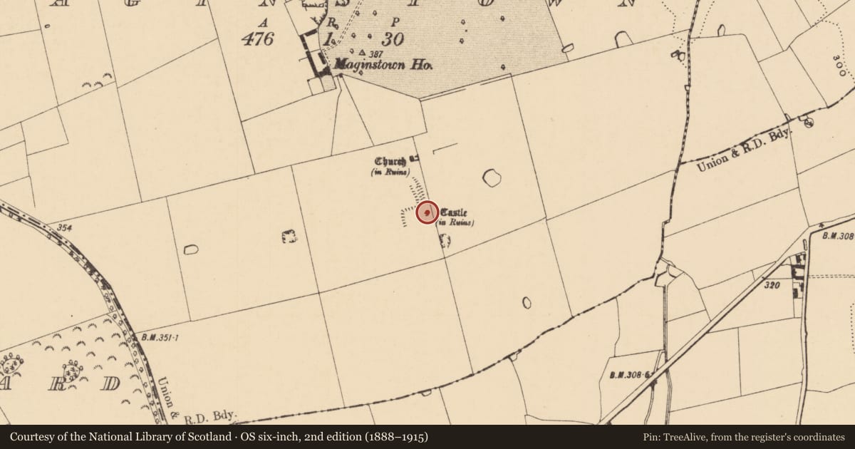 Ordnance Survey six-inch map, 2nd edition (1888–1915) covering the location of Castle - unclassified, Maginstown, County Tipperary South, with a pin at the register's coordinates