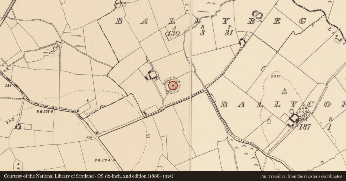Ordnance Survey six-inch map, 2nd edition (1888–1915) covering the location of Ringfort - rath, Ballybeg (Newchapel Par.), County Tipperary South, with a pin at the register's coordinates