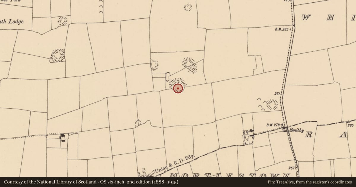 Ordnance Survey six-inch map, 2nd edition (1888–1915) covering the location of Castle - ringwork, Outeragh, County Tipperary South, with a pin at the register's coordinates