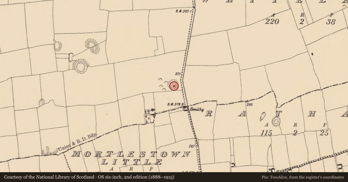 Ordnance Survey six-inch map, 2nd edition (1888–1915) covering the location of Enclosure, Outeragh, County Tipperary South, with a pin at the register's coordinates