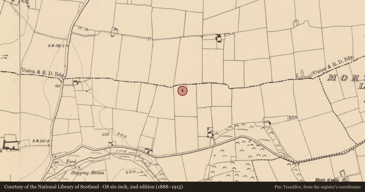 Ordnance Survey six-inch map, 2nd edition (1888–1915) covering the location of Ringfort - rath, Kedrah, County Tipperary South, with a pin at the register's coordinates