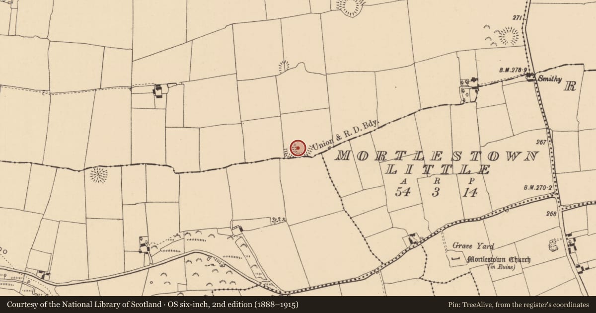 Ordnance Survey six-inch map, 2nd edition (1888–1915) covering the location of Ringfort - rath, Outeragh, County Tipperary South, with a pin at the register's coordinates