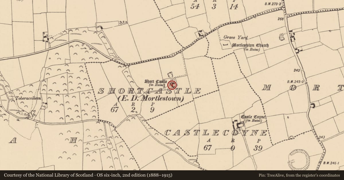Ordnance Survey six-inch map, 2nd edition (1888–1915) covering the location of Castle - tower house, Shortcastle (Mortlestown Par.), County Tipperary South, with a pin at the register's coordinates