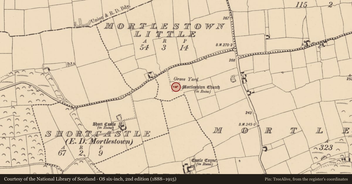 Ordnance Survey six-inch map, 2nd edition (1888–1915) covering the location of Church, Mortlestown (Mortlestown Par.), County Tipperary South, with a pin at the register's coordinates