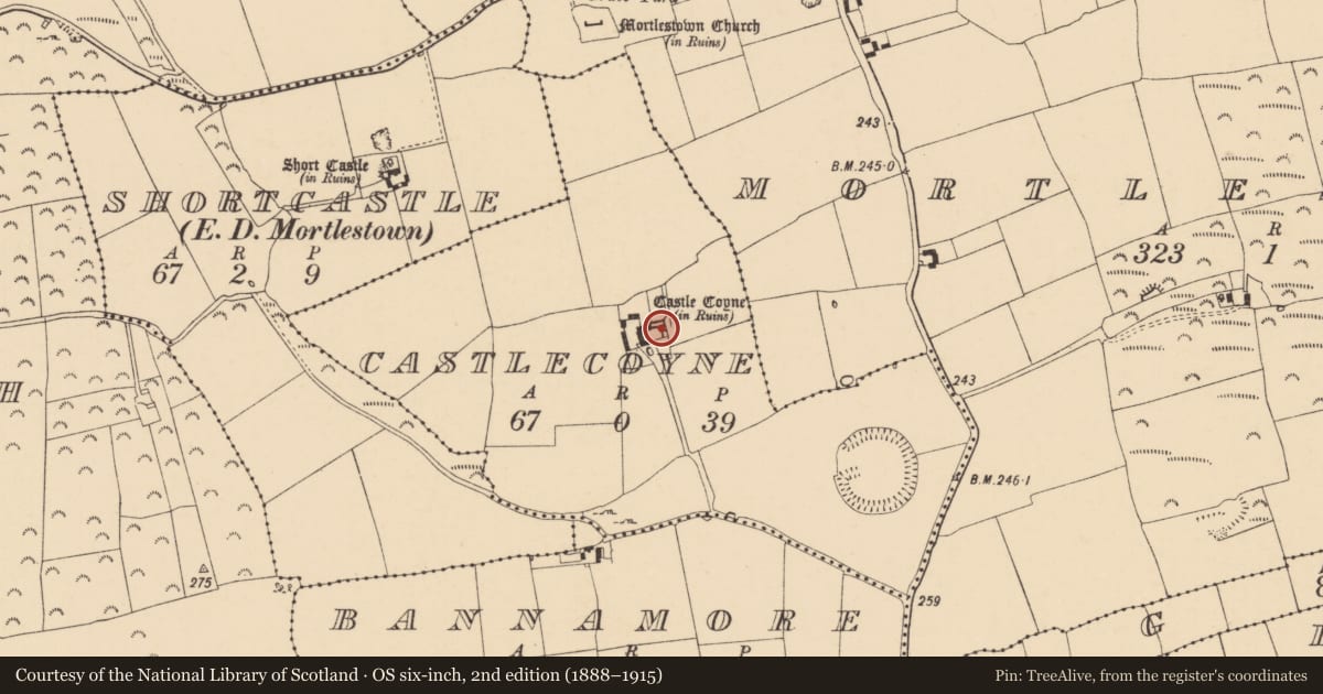Ordnance Survey six-inch map, 2nd edition (1888–1915) covering the location of Bawn, Castlecoyne, County Tipperary South, with a pin at the register's coordinates