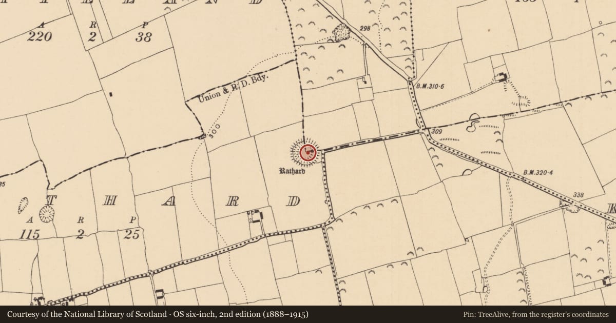 Ordnance Survey six-inch map, 2nd edition (1888–1915) covering the location of Ringfort - rath, Rathard, Woodinstown, County Tipperary South, with a pin at the register's coordinates