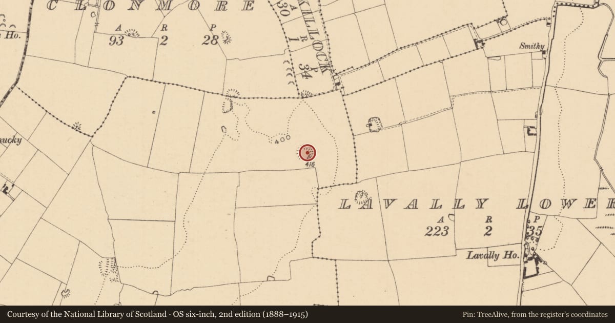 Ordnance Survey six-inch map, 2nd edition (1888–1915) covering the location of Ringfort - rath, Graigue (Newchapel Par.), County Tipperary South, with a pin at the register's coordinates
