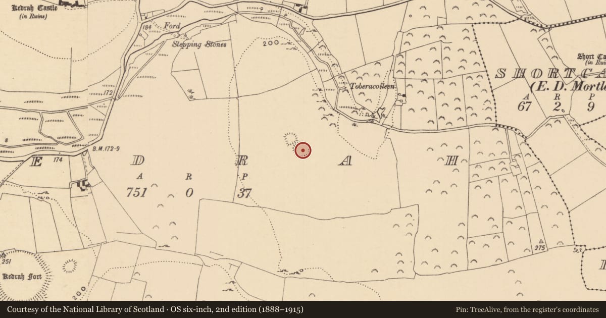 Ordnance Survey six-inch map, 2nd edition (1888–1915) covering the location of Enclosure, Kedrah, County Tipperary South, with a pin at the register's coordinates