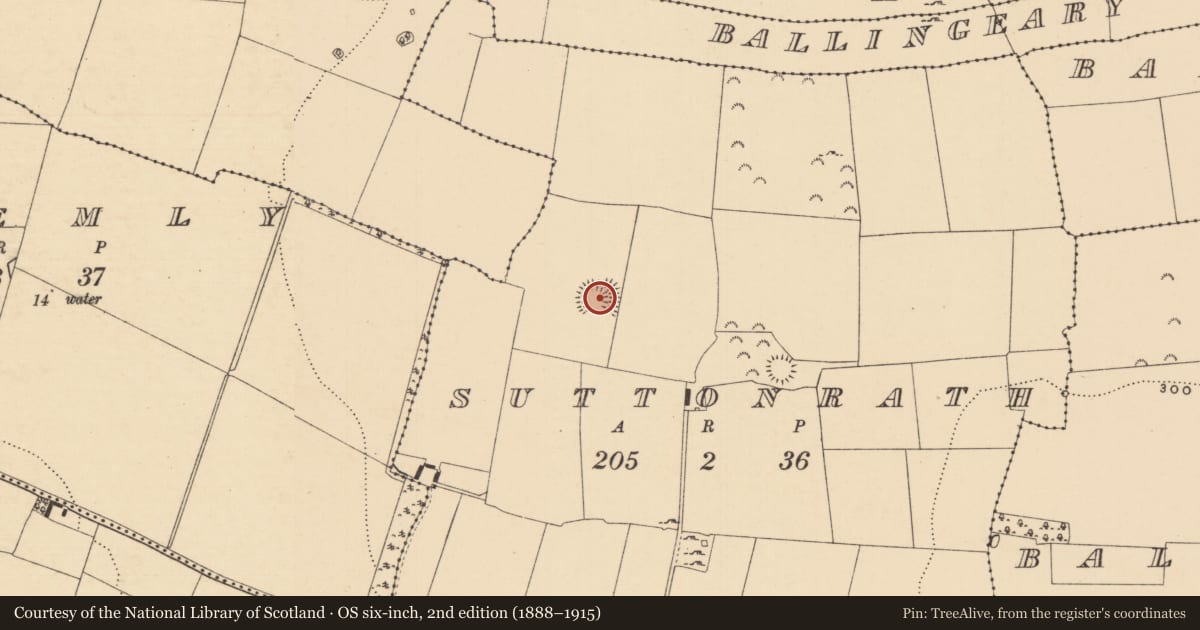 Ordnance Survey six-inch map, 2nd edition (1888–1915) covering the location of Enclosure, Suttonrath, County Tipperary South, with a pin at the register's coordinates