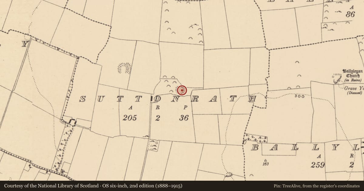 Ordnance Survey six-inch map, 2nd edition (1888–1915) covering the location of Ringfort - rath, Suttonrath, County Tipperary South, with a pin at the register's coordinates