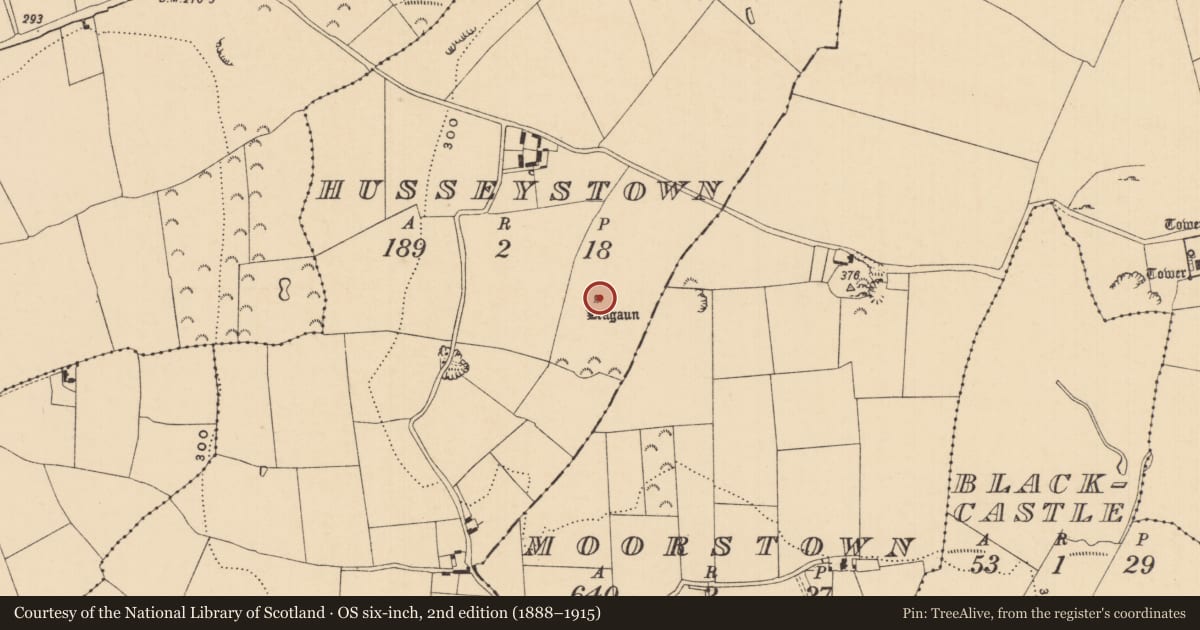 Ordnance Survey six-inch map, 2nd edition (1888–1915) covering the location of Standing stone, Husseystown, County Tipperary South, with a pin at the register's coordinates