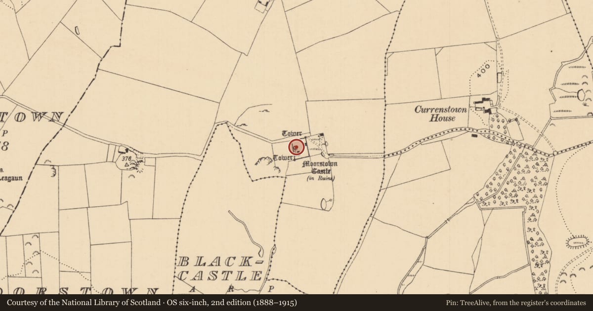 Ordnance Survey six-inch map, 2nd edition (1888–1915) covering the location of Castle - tower house, Moorstown (Inishlounaght Par.), County Tipperary South, with a pin at the register's coordinates