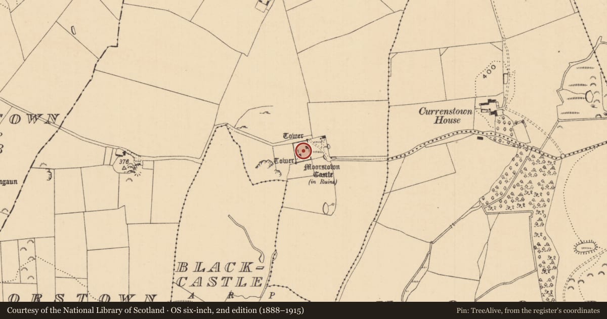 Ordnance Survey six-inch map, 2nd edition (1888–1915) covering the location of Bawn, Moorstown (Inishlounaght Par.), County Tipperary South, with a pin at the register's coordinates