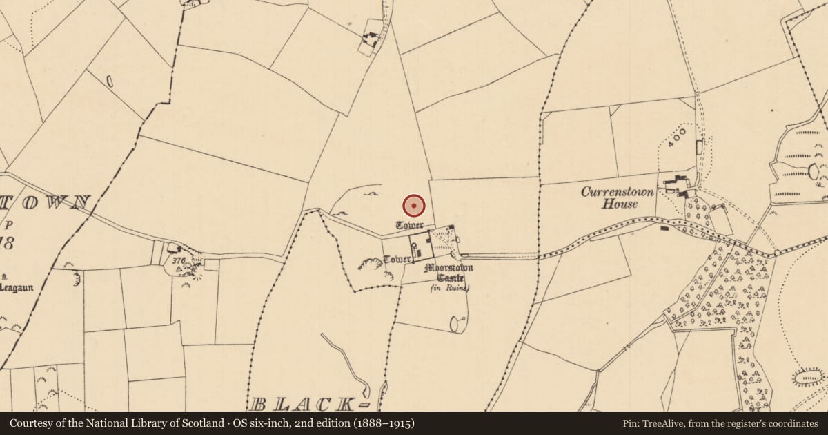 Ordnance Survey six-inch map, 2nd edition (1888–1915) covering the location of Earthwork, Moorstown (Inishlounaght Par.), County Tipperary South, with a pin at the register's coordinates