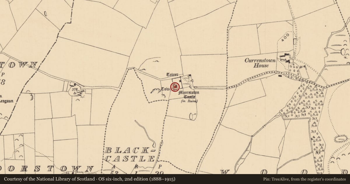Ordnance Survey six-inch map, 2nd edition (1888–1915) covering the location of Building, Moorstown (Inishlounaght Par.), County Tipperary South, with a pin at the register's coordinates