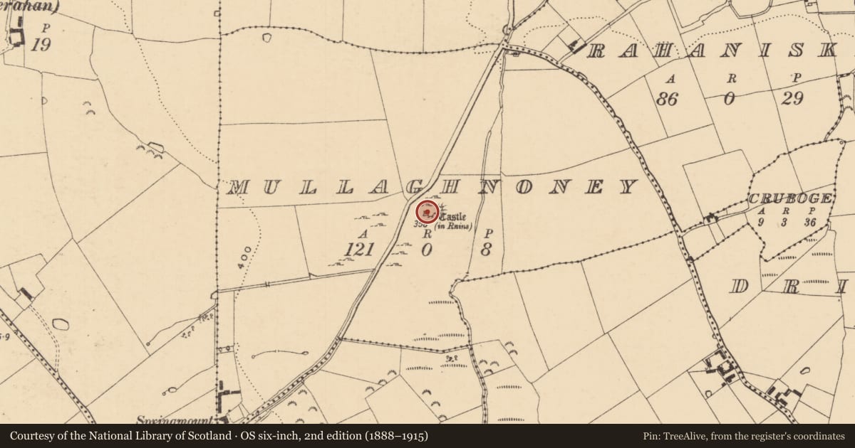 Ordnance Survey six-inch map, 2nd edition (1888–1915) covering the location of Castle - tower house, Mullaghnoney, County Tipperary South, with a pin at the register's coordinates